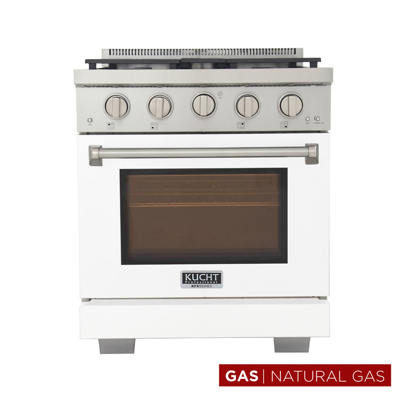 30 in. 4.2 cu. ft. Natural Gas Range and Convection Oven in Light Blue with True Simmer Burners, Natural Gas, Stainless Steel