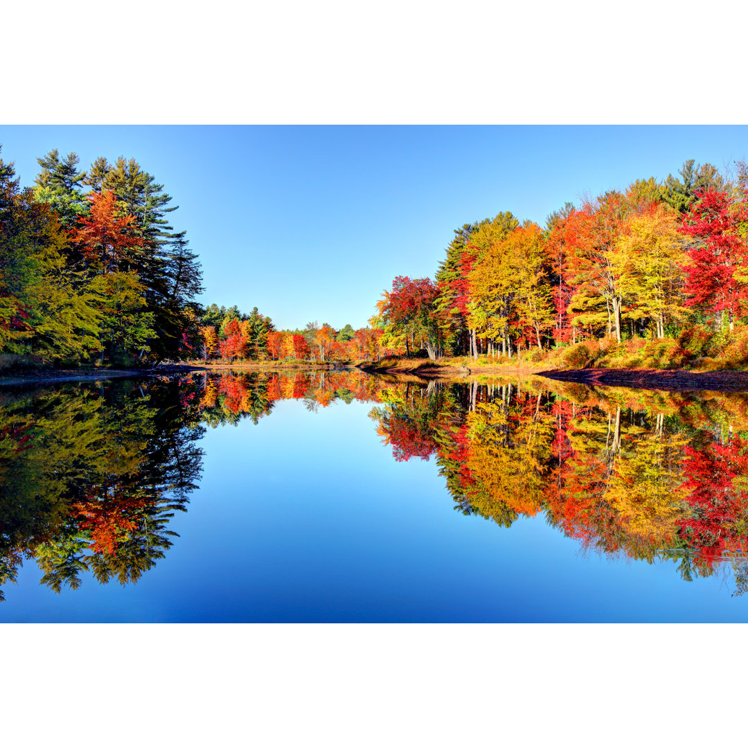 Autumn Foliage von DenisTangneyJr - Kunstdrucke auf Leinwand