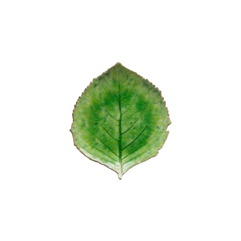 Feuille d'hortensia 8,58 po Riviera Tomate