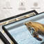 Animal "Art mural grizzly avec saumon"-101793868