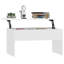 Silverlock Lift Top Coffee Table with Storage-1948707090