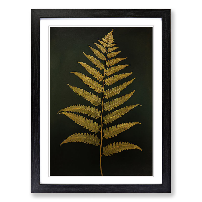 Fern Leaf Classicism - Single Picture Frame Print on Wood, Black Framed, 34cm H x 25cm W