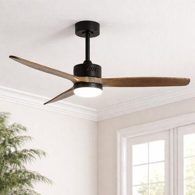 Ventilateur de plafond moderne à 3 pales de 52 po avec ensemble d'éclairage et télécommande AuraVista