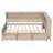 Wood Daybed With Sturdy Construction Multi-Storage Shelves And 3 Drawers No Box Spring Required-749261740