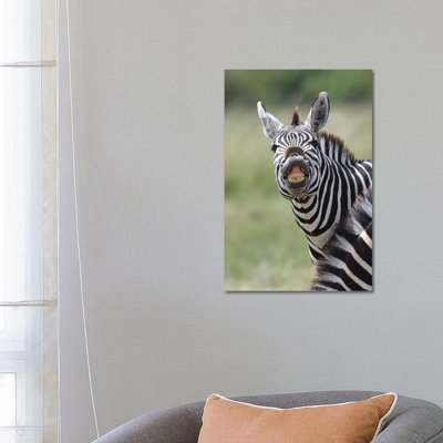 Smiling Zebra 1 Piece Wrapped Canvas Wall Art