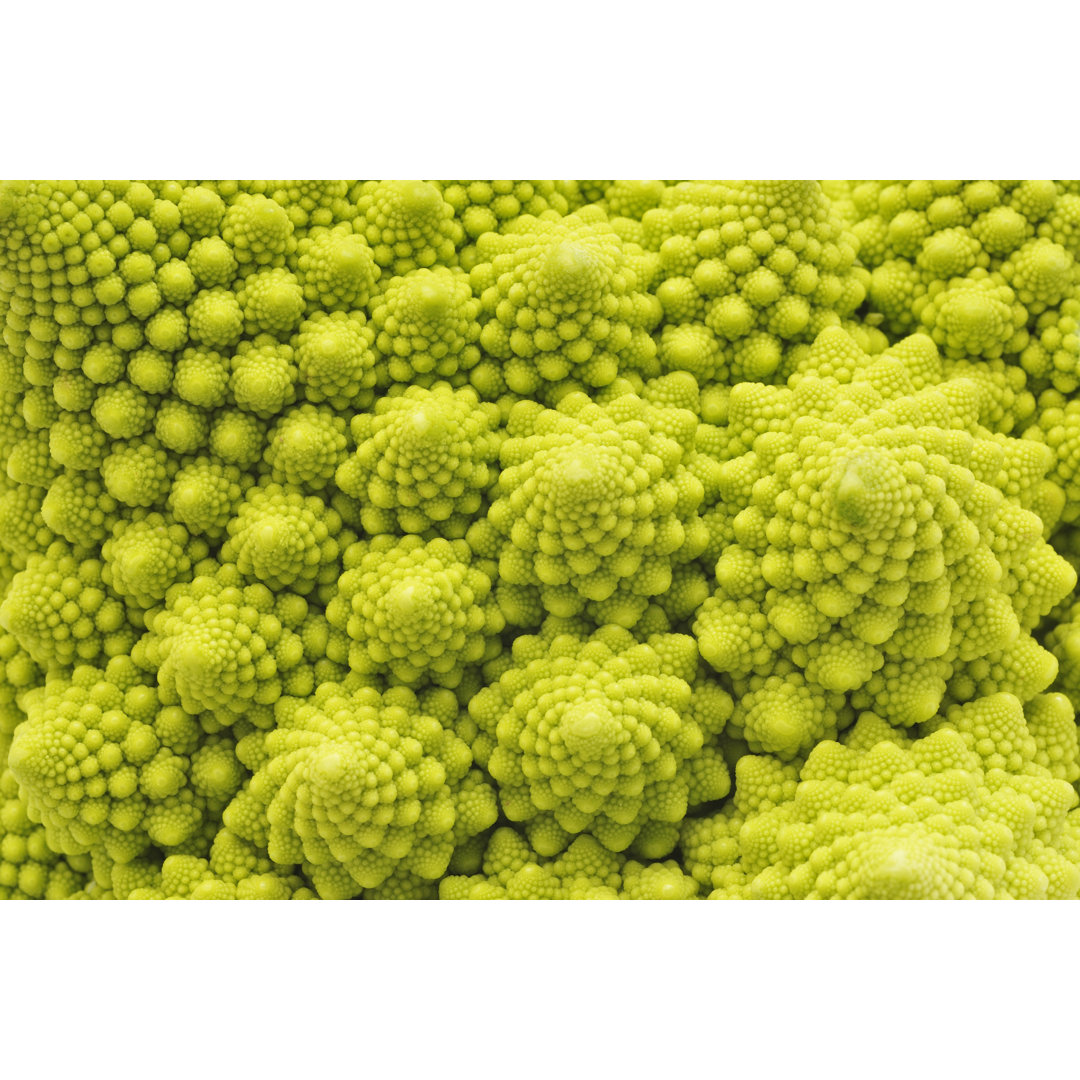 Romanesco Brokkoli von Alasdairjames - Leinwanddrucke auf Leinwand