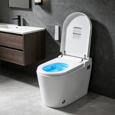 Toilette intelligente 17,1 po ADA Comfort