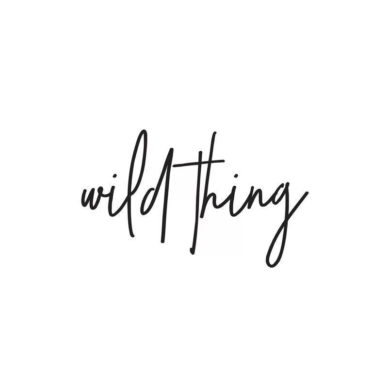 Wild Thing I by Honeymoon Hotel - Wrapped Canvas Print, 20.32 cm H x 30.48 cm W
