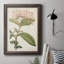 Toile encadrée de qualité supérieure Antique Botanical Collection VI - prête à être accrochée-73987269