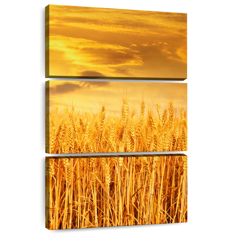 Champ de blé Alvord Sunset, H 38 po x l 24 po