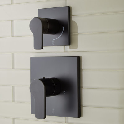 Hibiscus Thermostatic Shower Valve with Volume Control Trim