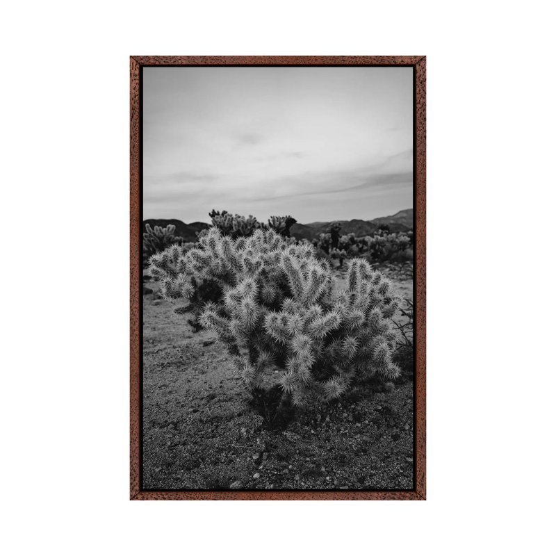 Cholla Cactus Garden IX by Bethany Young - Print on Canvas, Classic Brown Wood Framed, 101.6cm H x 66.04cm W x 3.81cm D