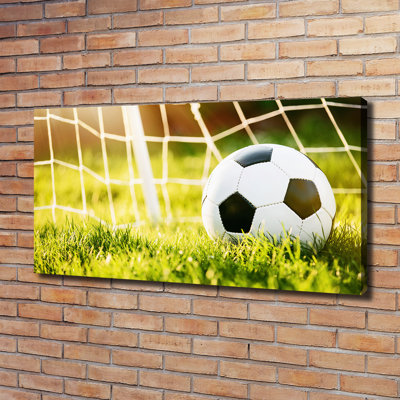 Ball in the Goal 1 Piece Wrapped Canvas Wall Art