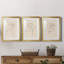 " Floral Contour Study I " 3 - Pieces Painting Print-224453418-224453417-224407728
