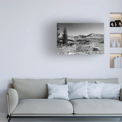 Kent Flora Mt Bierstadt Canvas Art