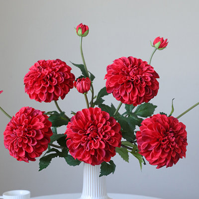 5-Piece Artificial Silk Dahlia Flowers - 24-Inch Long Stem Fake Dahlias For Wedding Bouquets, Home Decor, Party Arrangements, And Seasonal Celebrations