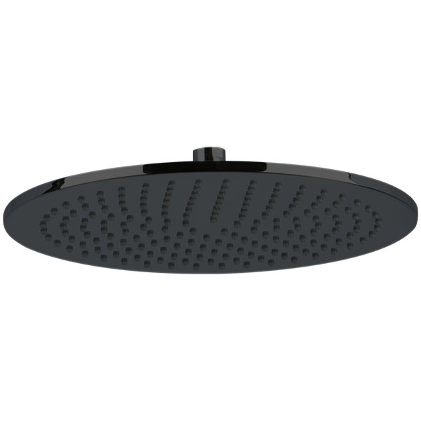 Rain Adjustable Shower Head, Black