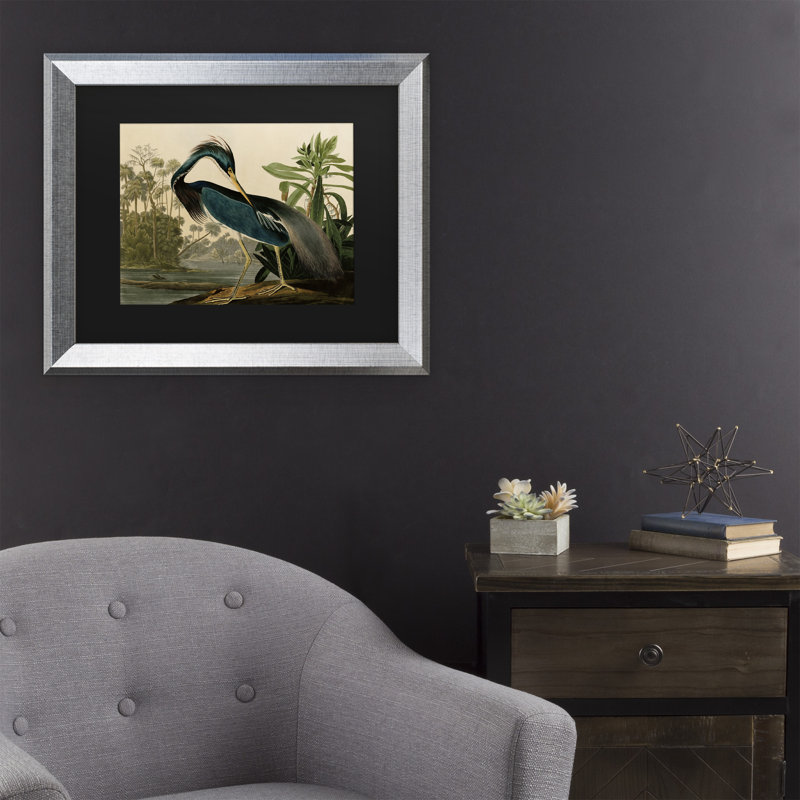 «Johniana Audubon» par John James Audubon, H 11 po x l 14 po x P 0,5 po, Cadre argenté