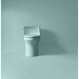 San Souci™ 1.28 GPF Elongated One-Piece toilet (Seat Included)