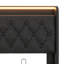 Full Size Upholstered Bed, 360 Surround LED Function,  Hydraulic Storage-1196498258