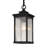 Benedita Outdoor Hanging Lantern