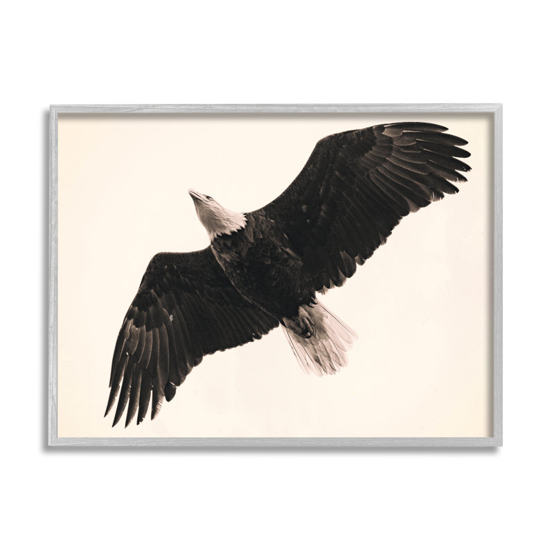 Aigle volant au-dessus d'un oiseau rétro, sépia noir, art numérique de la giclée par Nancy Crowell, H 16 po x l 20 po