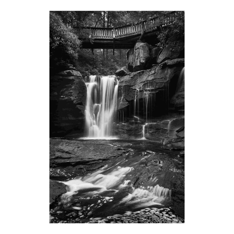 Elakala Falls West I BW, H 18 po x l 12 po