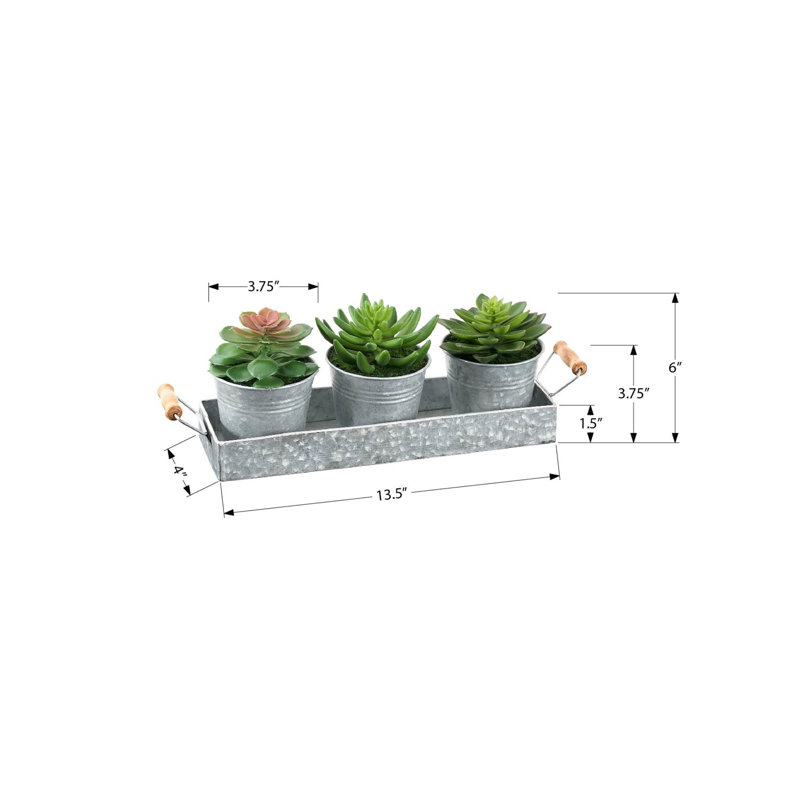 Plantes artificielles, ensemble de 3, hauteur 6 ", plante grasse, pots en métal argenté, contemporain, moderne