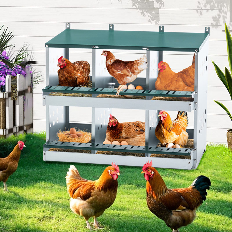 Boîte de nidification à 6 compartiments pour poules pondeuses, boîtes de poules roulantes, vert