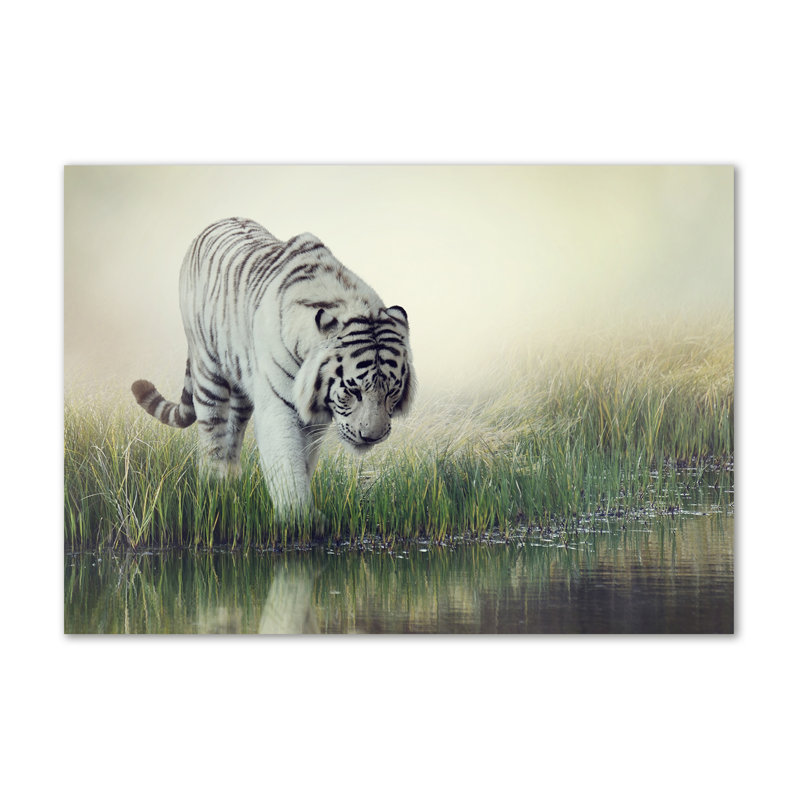White Tiger - Wrapped Canvas Print