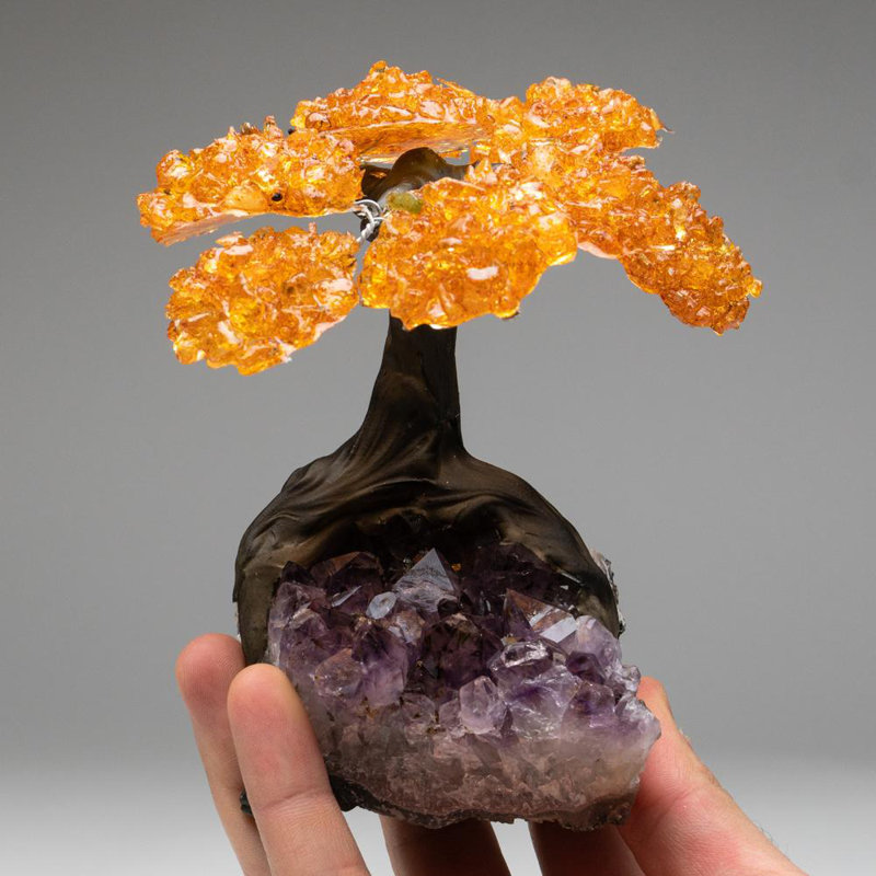 Genuine Citrine Clustered Gemstone Tree on Amethyst Matrix (The Money Tree)