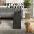 Black Ramp Ramp,Convenient Pet Ramp