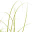 Faux Foliage Grass in Planter-2038103176
