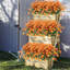 4 faisceaux de marguerites artificielles pour l'extérieur-838606463