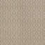 Schumacher x Veere Grenney Burley Fabric-23002579