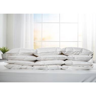 Downright White Goose Down Decorative Pillow Stuffers