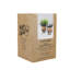 KitchenCraft Seagrass Plant Striped