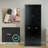 Accent Cabinet