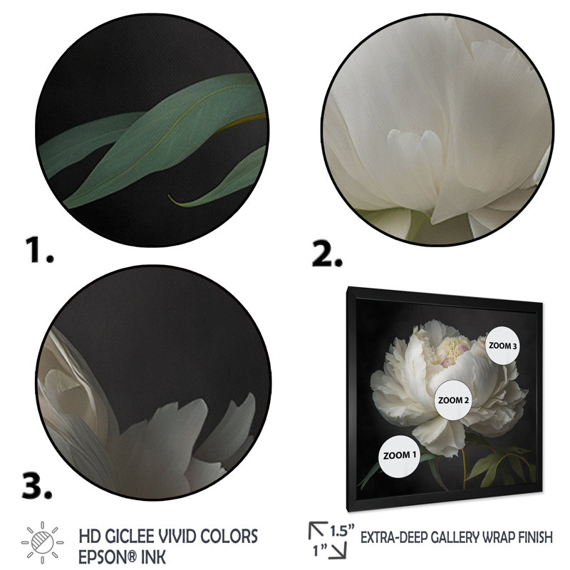 Blooming White Peony VI - Art mural pivoine, H 30 po x l 30 po, Impression encadrée, Noir