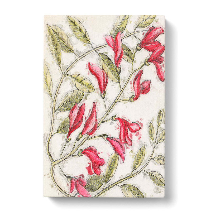 Floral Sorrel Tree by Mark Catesby - Wrapped Canvas Painting, 76cm H x 50cm W x 3cm D