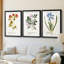 Nature imprimé Botanicals vii - impression sur mesure encadrée de qualité supérieure - 3 pièces-728451892-728451891