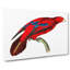 Blue-tipped Lory by George Shaw - Wrapped Canvas-55304191