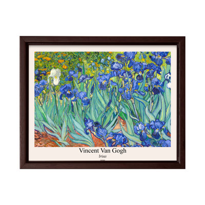 Van Gogh - Irises No2