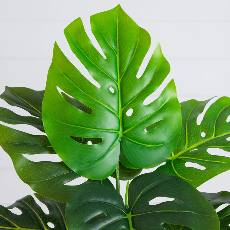 20 po Plante artificielle suisse Monstera