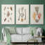 Knorr Shells & Coral IV-91887226-91887227