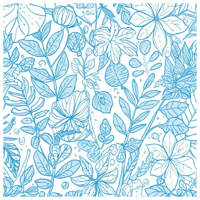 Blue Botanical Line Art Canvas Gallery Wrap in Many Sizes