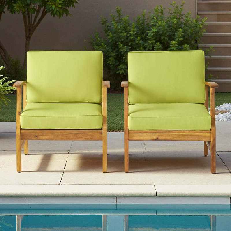 Ensemble de 2 fauteuils club, Vert, Brun