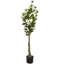 Plante artificielle traditionnelle en pot