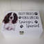 Springer Spaniel Dog Treat Box Donaldson Decorative Box