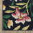 Sherley Floral Garden Navy/ Multi Indoor-Outdoor Area Rug-1657772146